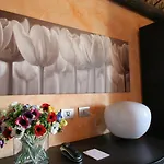 Cambiocavallo 4*