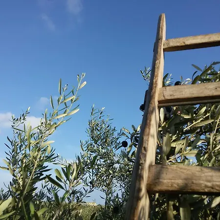 Hotel Cambiocavallo 4*