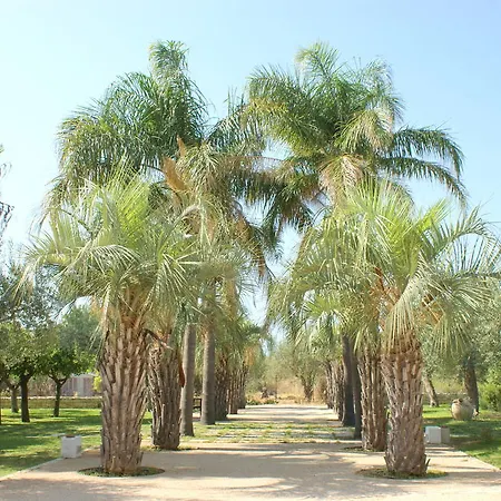 Cambiocavallo 4*